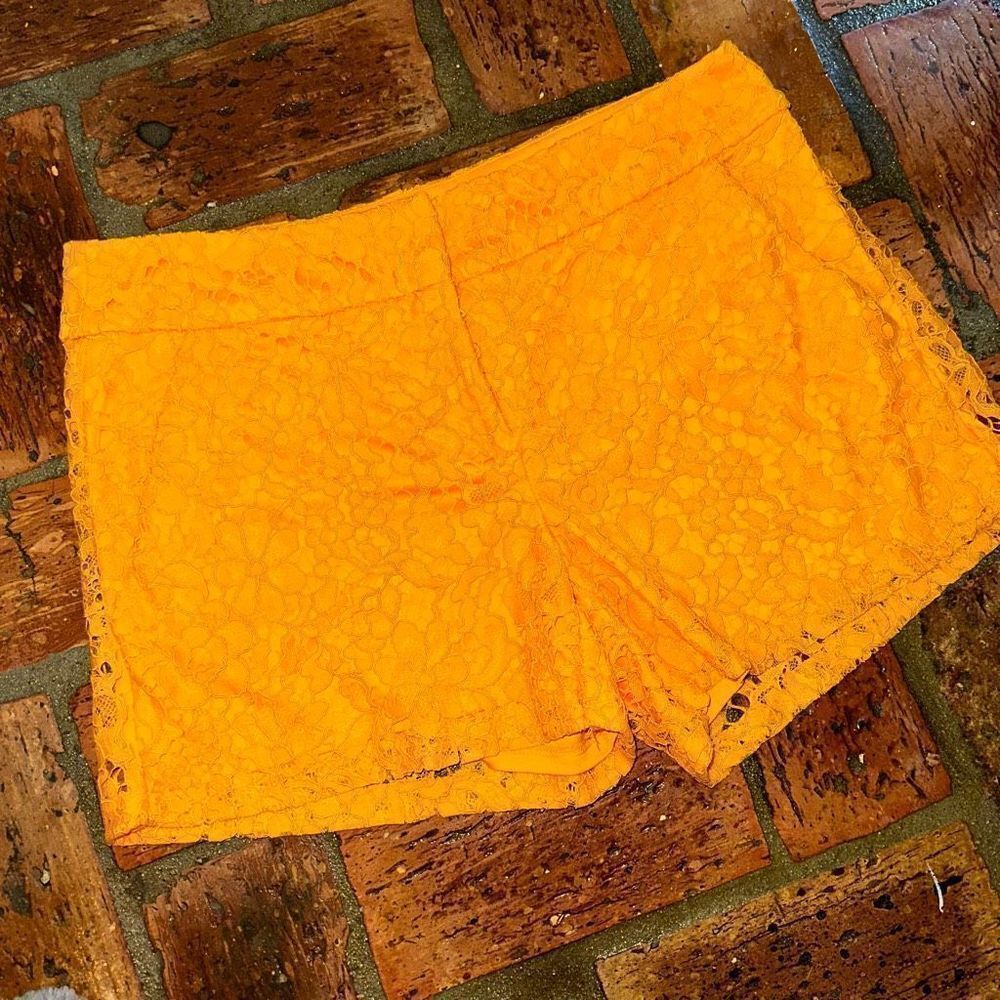 New York & Co Gold Yellow Mustard Crochet Lace Shorts